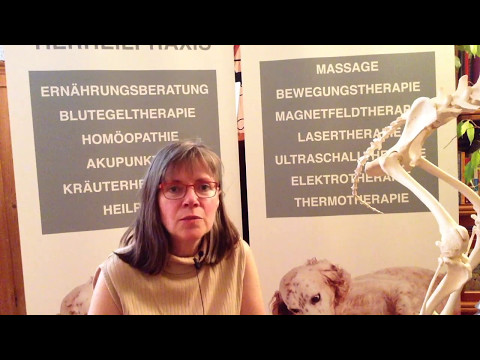 Schmerzen im Kreuz Prostatitis Wie wird man von der Infektion in der Prostata zu befreien