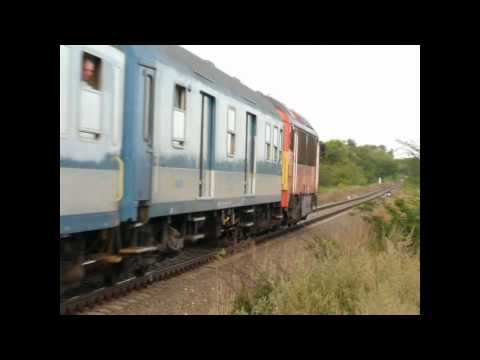 M41 2202 halad Seregélyes és Seregélyes-Szőlőhegy között