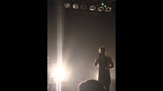 New Politics - Loyalties Among Thieves