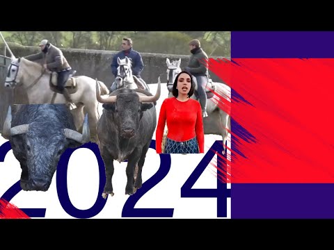 ⭐️2024…¡EL TORO! Lo que más nos gusta