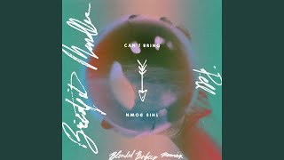 Can't Bring This Down (Blended Babies Remix)