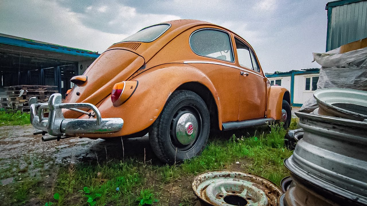 Жука хотели отправить на свалку, но мы его выкупили и спасли