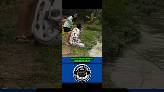 Download lagu Ketika Istri Ngomel Saat Suami Mancing, Ending-nya Bikin Nyebur‼️#ngakak #lucu mp3 Download lagu Ketika Istri Ngomel Saat Suami Mancing, Ending-nya Bikin Nyebur‼️#ngakak #lucu mp3