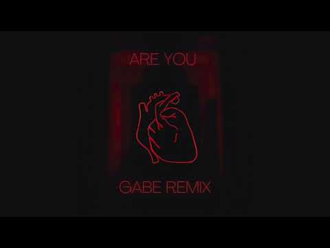 Are you   Gabe Remix (&ME, Black Coffee)