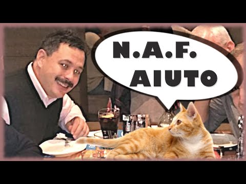 Gottardo ha mangiato un gatto e interviene N.A.F. - La Zanzara 12.7.2019