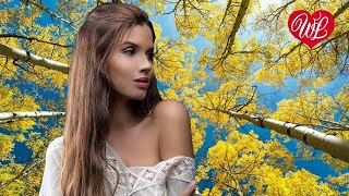 ЧЕСТНО ЛЮБИЛ ♥ КРАСИВЫЕ ПЕСНИ ПРО ЛЮБОВЬ WLV ♥ МУЗЫКА ЛЮБВИ ♥ LOVE STORY ♫ RUSSISCHE MUSIK