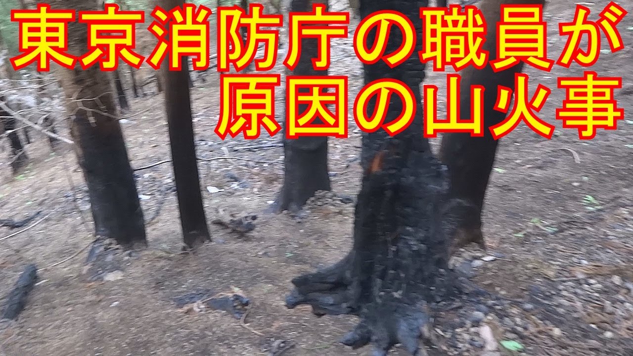 東京消防庁職員が原因の山火事の痕跡を目の当たりにした瞬間