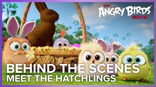 Meet The Hatchlings | The Angry Birds Movie Behind The Scenes