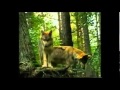 TV4 Trailers Och Ident 1995 08 20