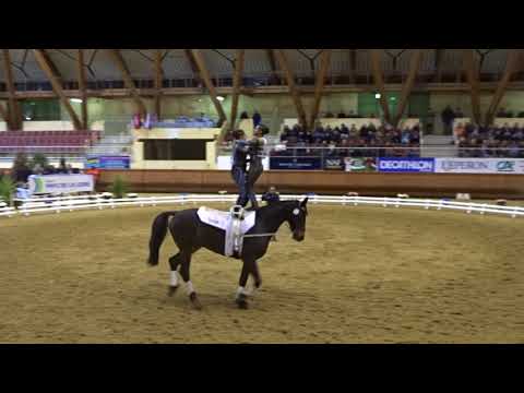 Polati and Kreaden freestyle