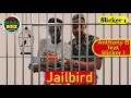 Anthony B - Jail Bird ft. Slicker 1 (Official Audio)