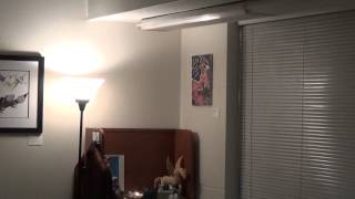 The Green Man and the Goddess Part 1