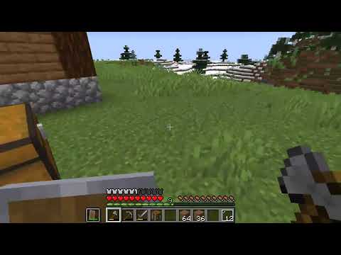 Insane Minecraft Playthrough with Vitya Audio