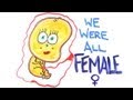 We were all female 