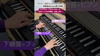 植山けい＆八島優　　　　　　　　　　　　　　19:00 ♪チケットお申込みhttps://cembalo33.peatix.com　　　　　　　東京古典楽器センター 03-3952-5515#バッハ