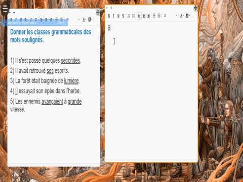 Exercices - Entrainement - Niveau 1 - Classes grammaticales variables