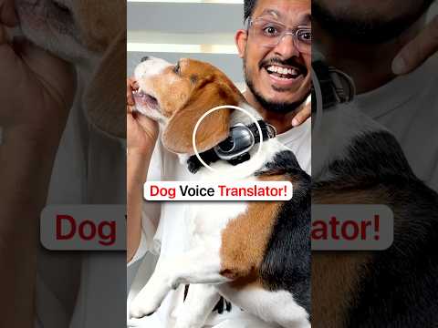 This Gadget Translates Dog Language! 🤯
