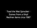 Toad the Wet Sprocket - Scenes from a Vinyl Recliner demo circa 1987
