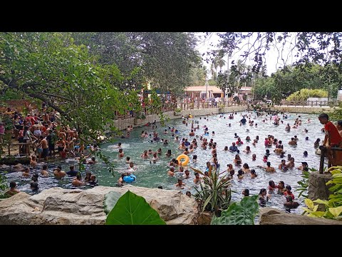 Purity scout Natal RN