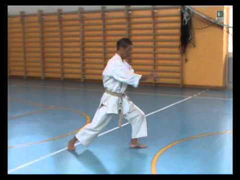 Shihan Shojun Sugiyama - Bassai Dai - Dec 2013