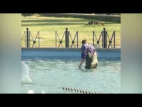 Vëzhgim në Tiranë pa koment (2 Janar 2005)