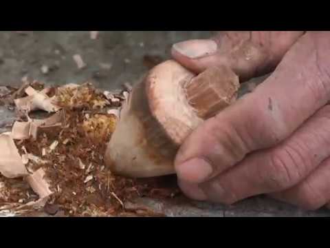 Documental "El Trompo de Tata Rogelio"