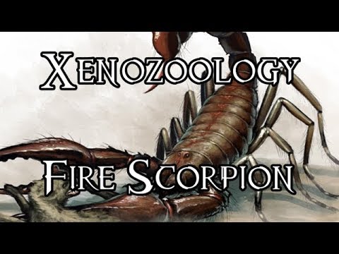 Xenozoology: Fire Scorpion - 40K Theories