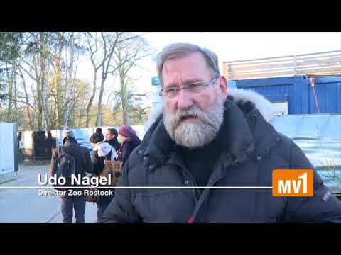 ScanHaus Marlow unterstützt Zoo Rostock