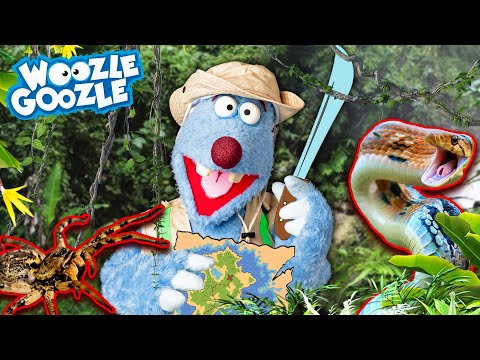 Wie überlebt man im Dschungel? l WOOZLE GOOZLE