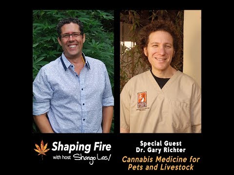 Shaping Fire Ep. 50 - Cannabis Medicine for Pets and Livestock with guest Dr Gary Richter