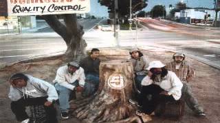 jurassic 5  - great expectations