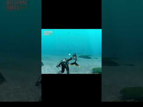 Free Wily (Endless Ocean) #shorts #nostalgia #classicgaming #wii