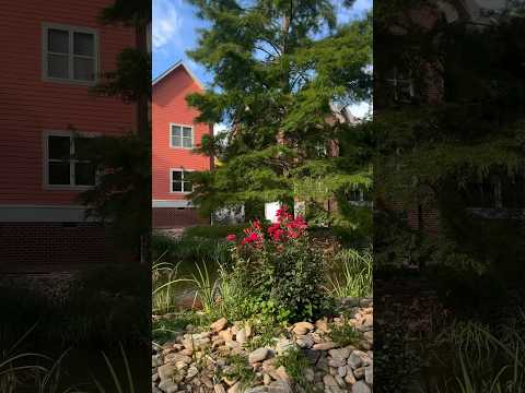 This made me smile ☺️ #Happy #Saturday #weekend #flowers #plants #nature #park