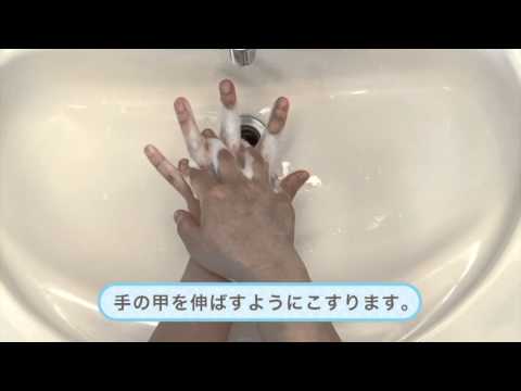 正しい手洗い方法