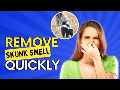 Best Skunk Odor Remover - Removing Skunk Smell from Dogs Quickly