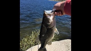Pesca del Black Bass desde orilla HD GoPro 2016. Session Electro House 06
