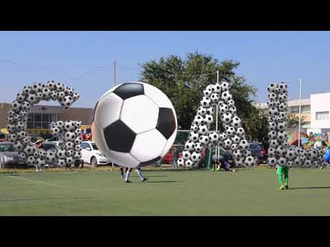 Gremio vs Juventus Final