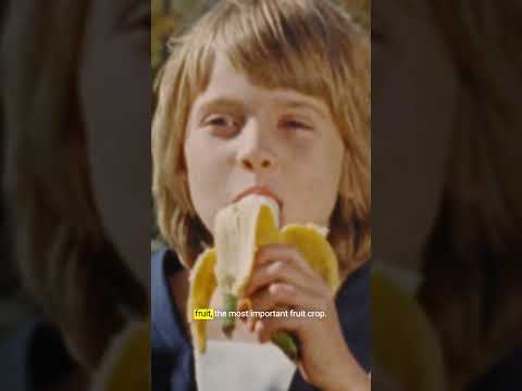 The banana is under threat #shorts