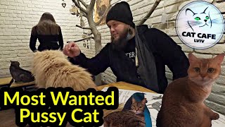 🇺🇦 BEST PUSSYCAT EXPERIENCE IN LVIV, UKRAINE