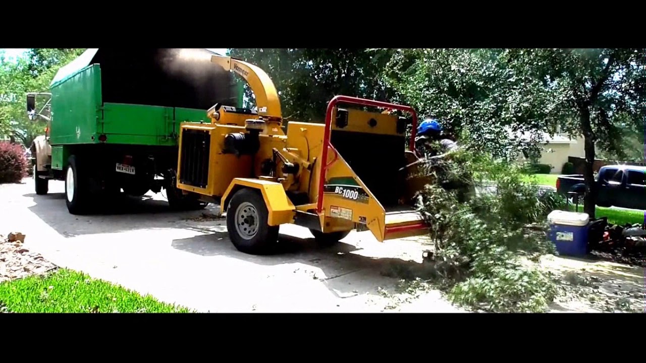 Tornado Damage Tree Removal