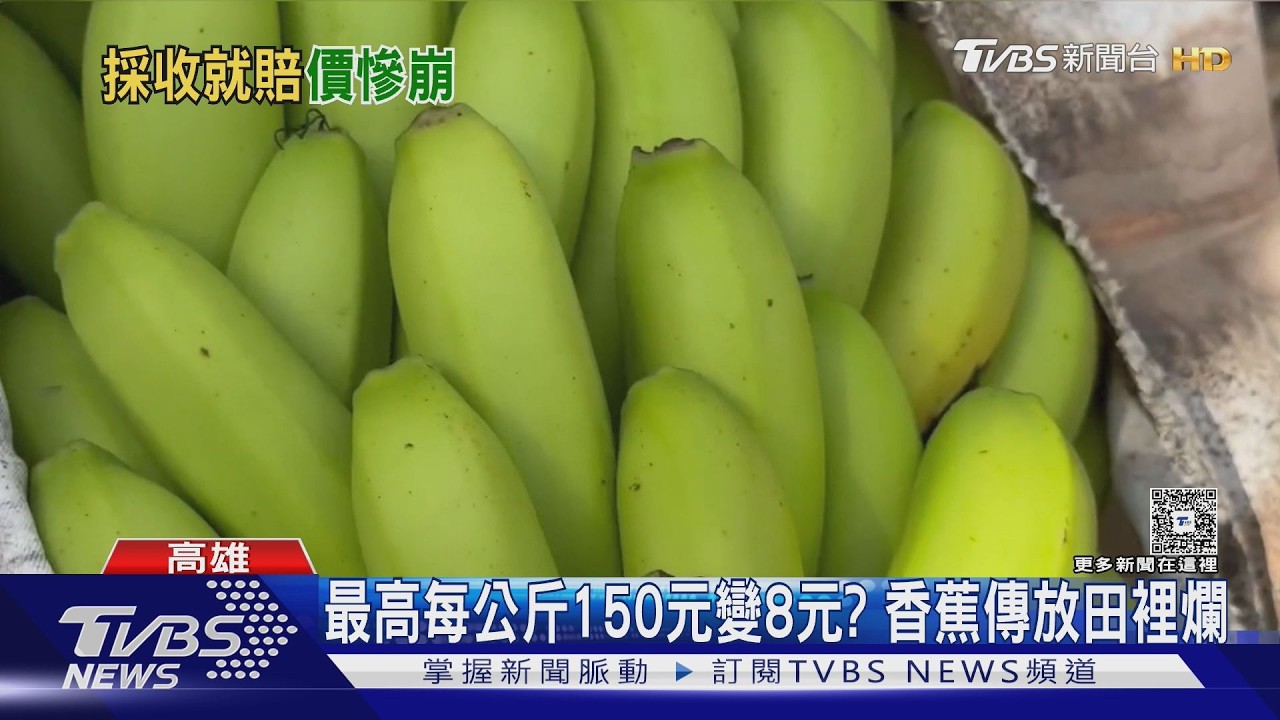 影音／去年產地最高150元！今剩個位數　蕉農嘆：乾脆放田裡爛