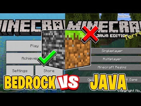 Minecraft Java vs Bedrock Edition!