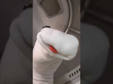 Brave Dojo's 7th Birthday! - Lefty Sock - November 2020