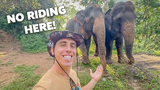Getting Up CLOSE With Elephants in Sri Lanka