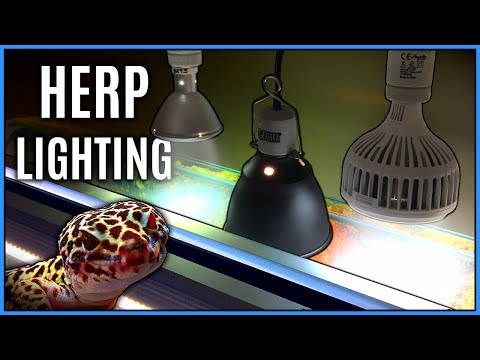 YouTube video about: Can you use a reptile light for plants?