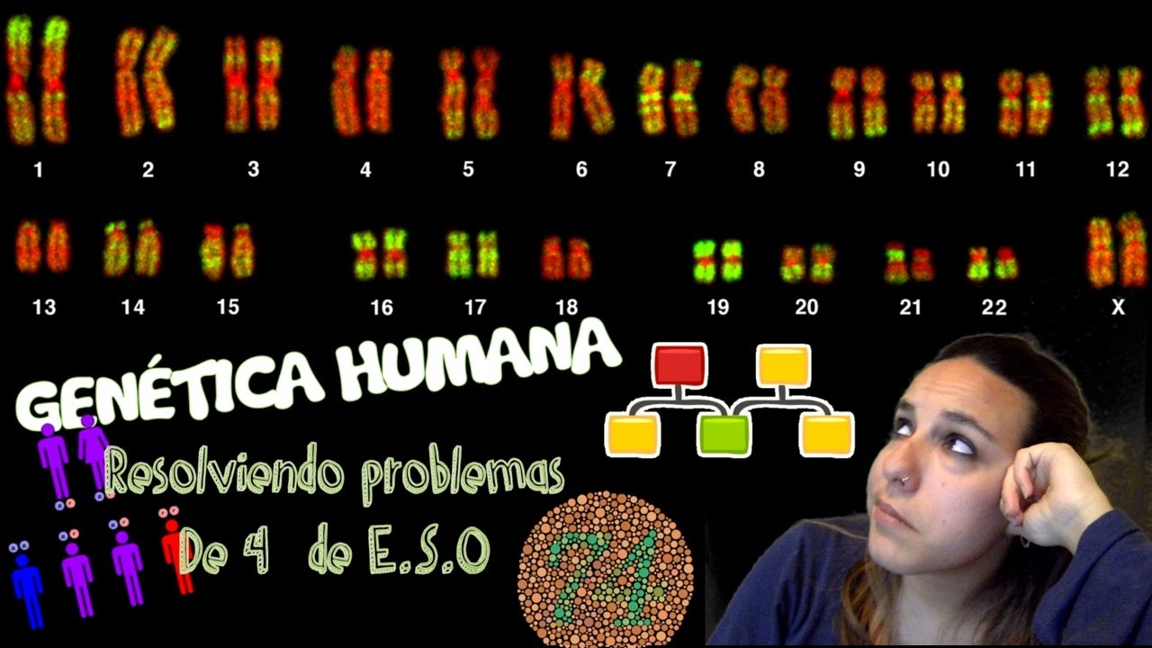 Genética Humana: Resolviendo problemas de 4º de E.S.O. - Bio[ESO]sfera