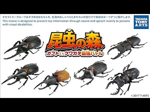 音のカタログ　昆虫の森編