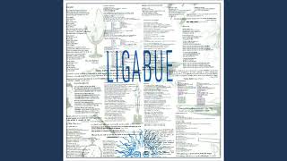 Ligabue - Bambolina e barracuda (Remastered) - HQ