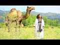 Meseret Belete Erikum Zemeda እሪኩም ዘመዳ New Ethiopian Music Official Video