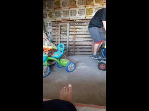 Los que no tubieron infancia